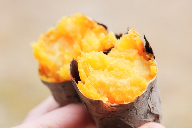 운동 직전에 혈당이 약간 낮을 때, 혈당 지수(GI)가 낮은 고구마를 먹는 것이 운동 중 저혈당 예방에 가장 효과적이다?