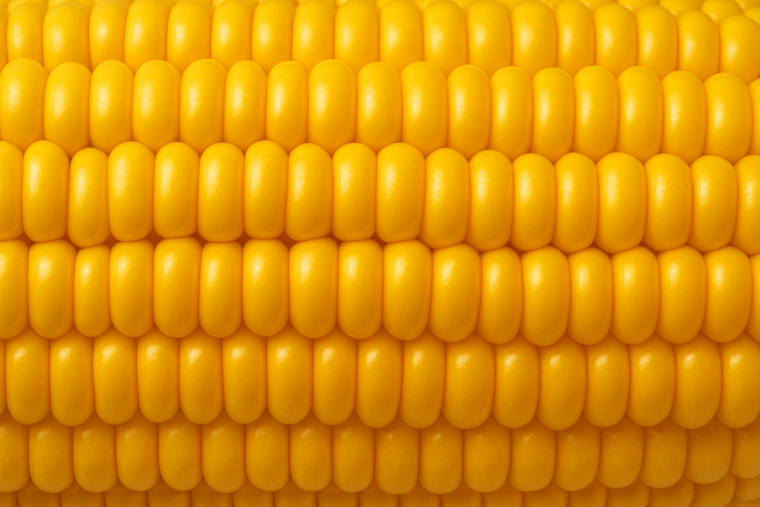 Are ‘corn flakes’, being a breakfast food made from corn, better for blood sugar than rice?