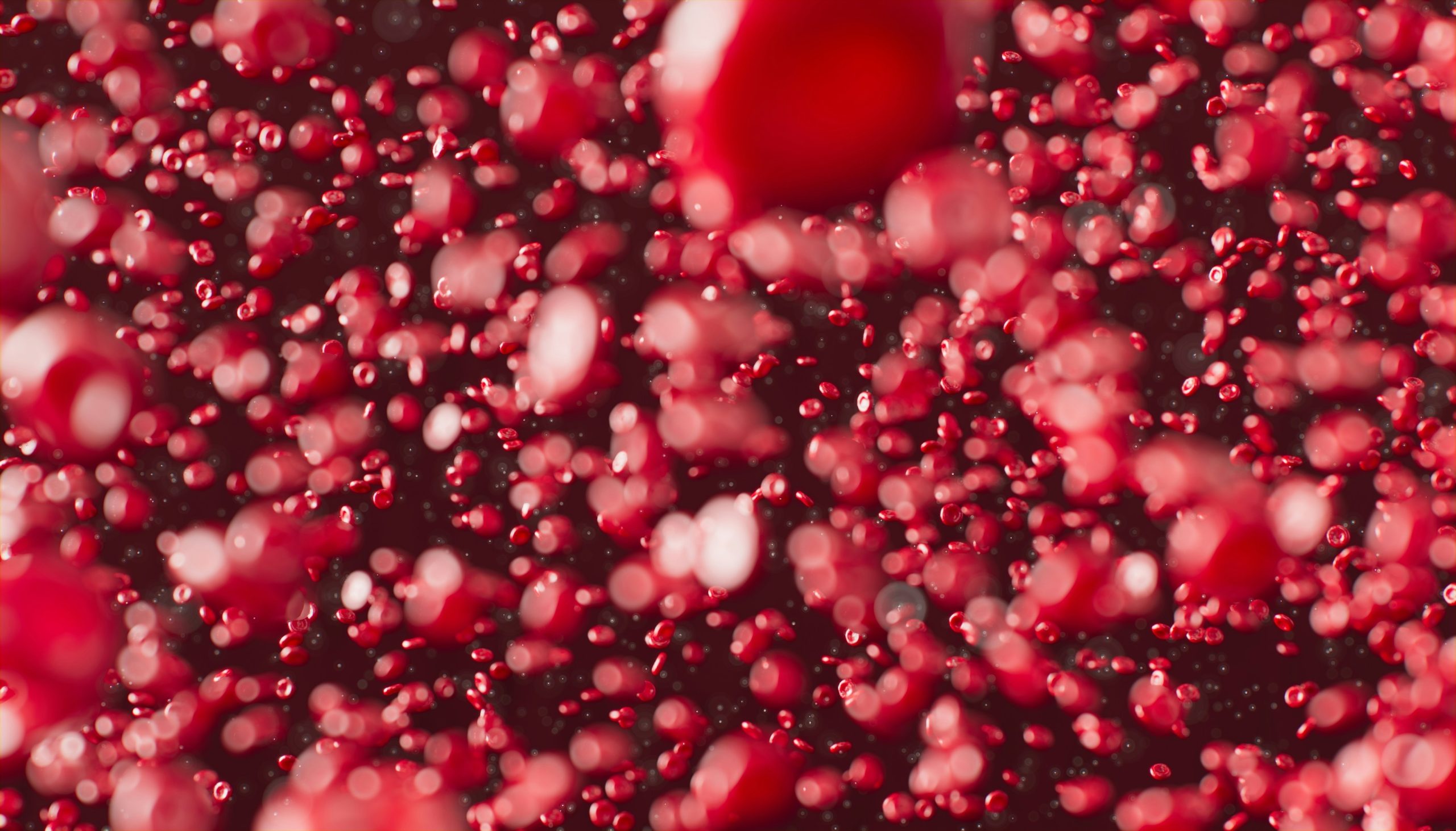 For diagnosing diabetes, are the results the same whether using fingertip blood or venous blood from the arm?