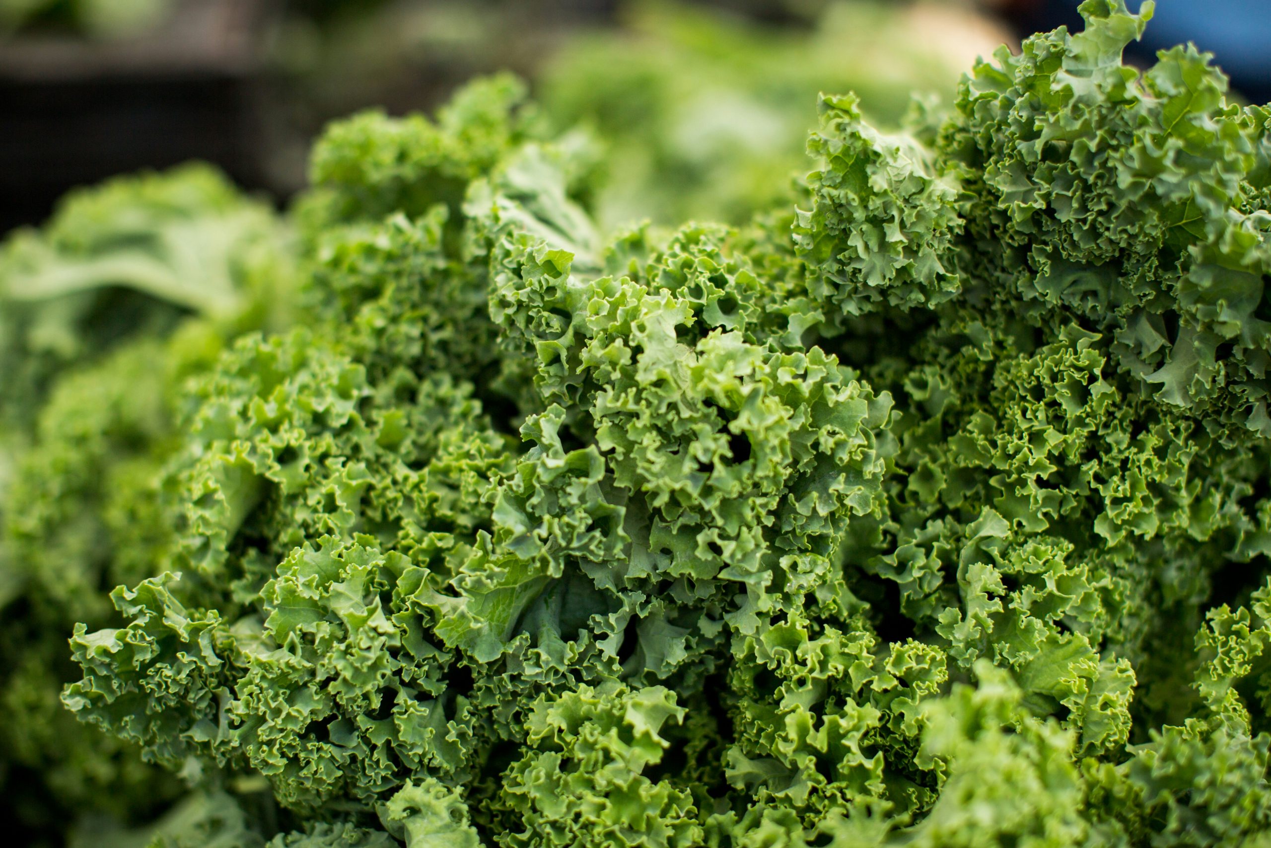 Is eating kale raw, such as in wraps or salads, more beneficial for blood sugar management than drinking it as a juice?
