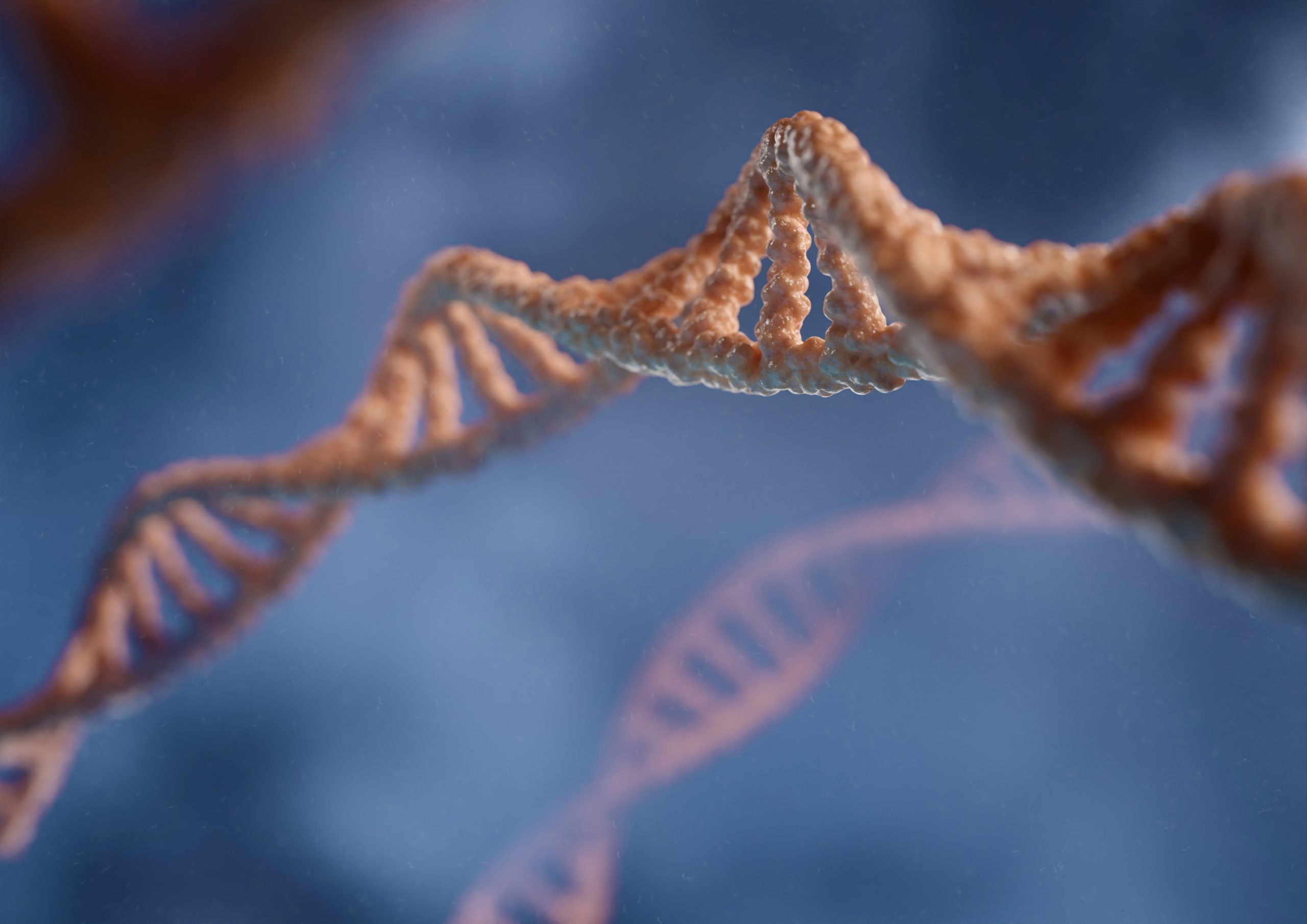 Is ‘MODY,’ caused by a defect in a single specific gene, a hereditary form of diabetes that occurs regardless of lifestyle?