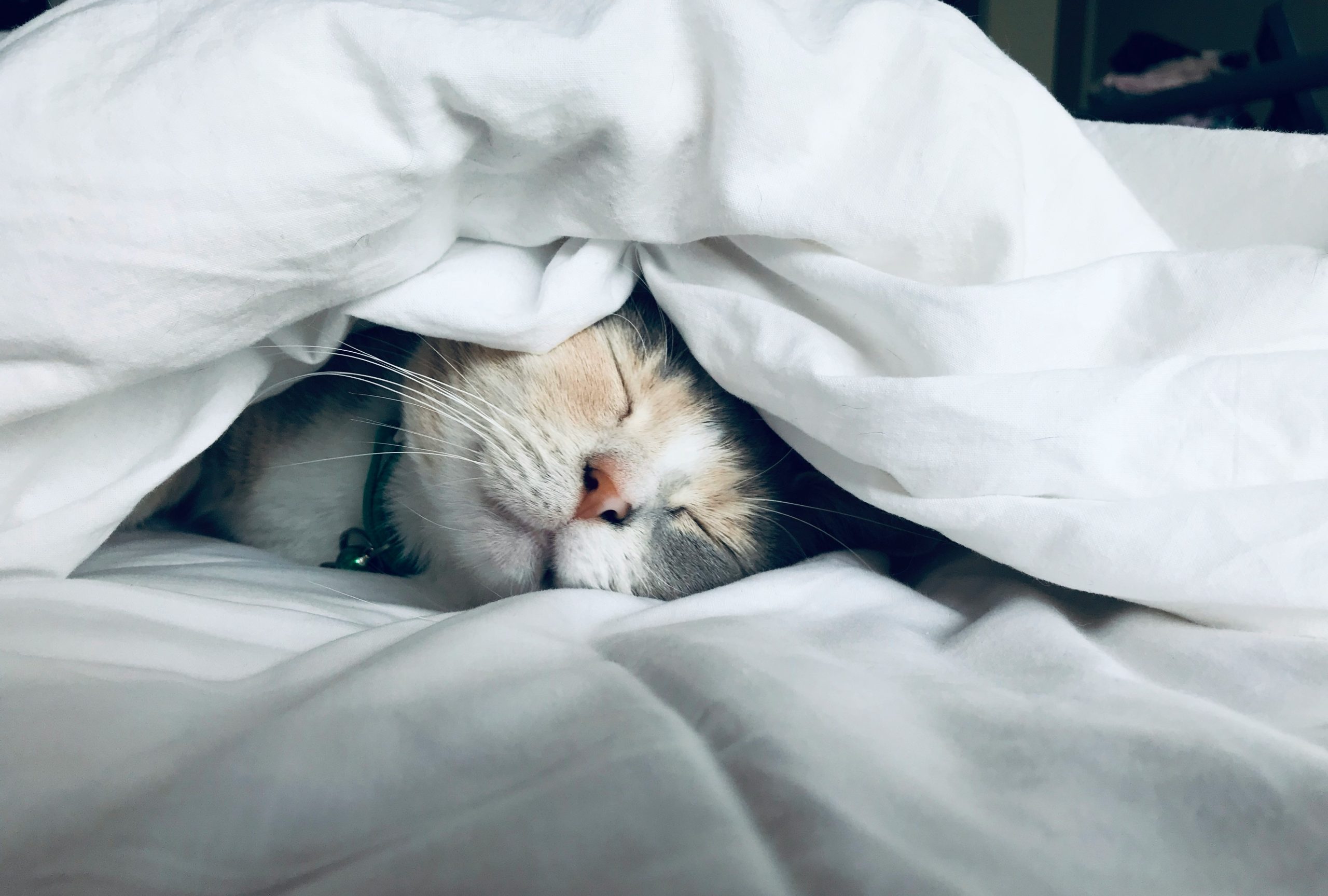 Can the quality of sleep in people with diabetes affect their blood sugar?