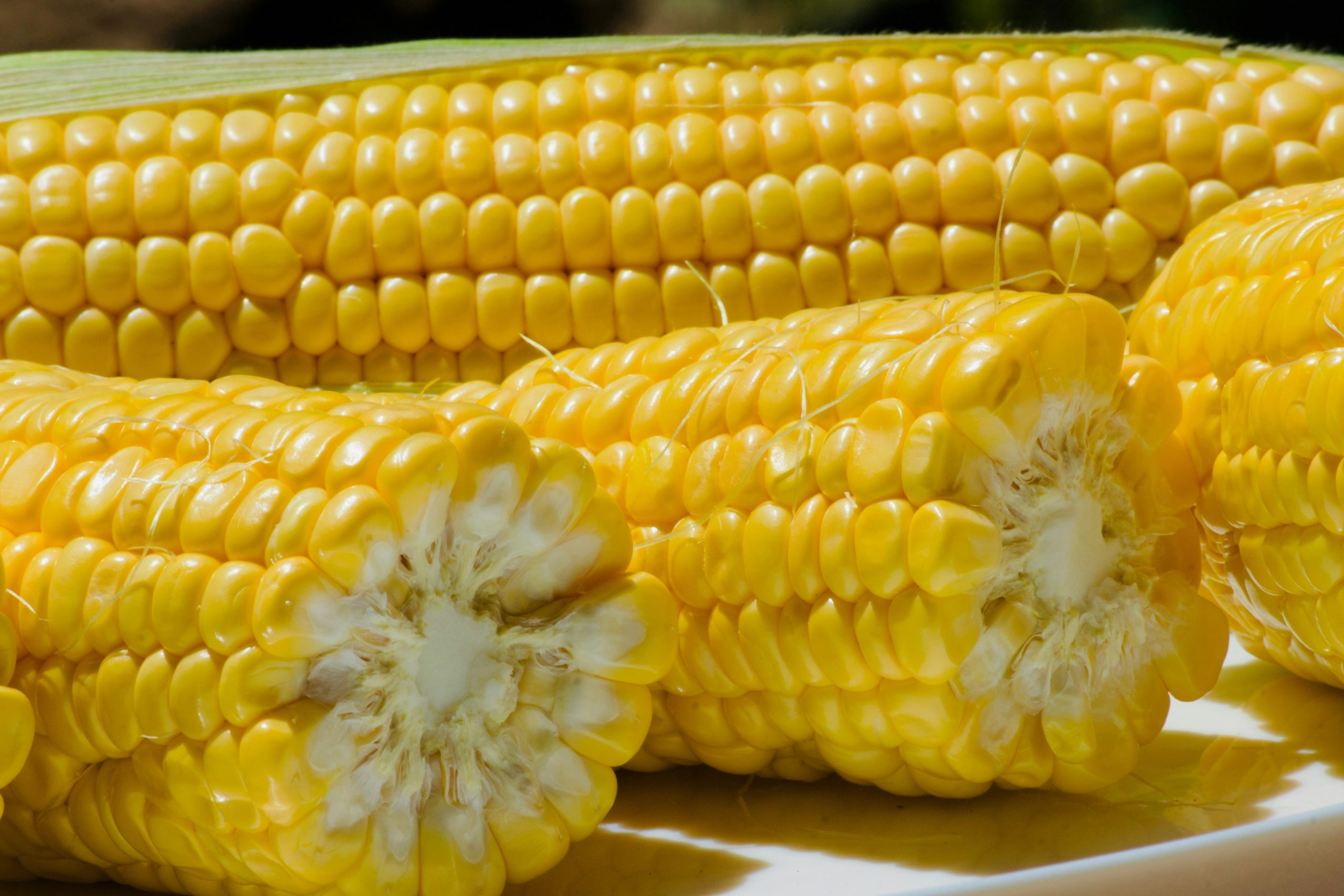 Is waxy corn a chewy, healthy snack that people with diabetes can eat without concern?